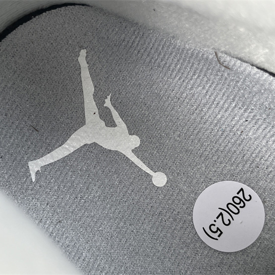 Air Jordan 3 Sneakers   FJ9479-100  - DopestKickz