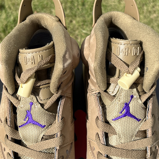 Air Jordan 6 Gore-Tex “Brown Kelp”  Sneaker               FD1643-300 - DopestKickz