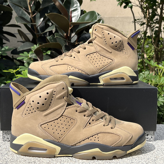 Air Jordan 6 Gore-Tex “Brown Kelp”  Sneaker               FD1643-300 - DopestKickz
