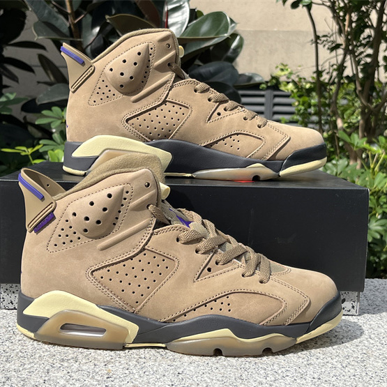 Air Jordan 6 Gore-Tex “Brown Kelp”  Sneaker               FD1643-300 - DopestKickz