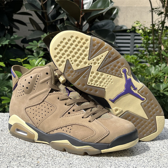 Air Jordan 6 Gore-Tex “Brown Kelp”  Sneaker               FD1643-300 - DopestKickz