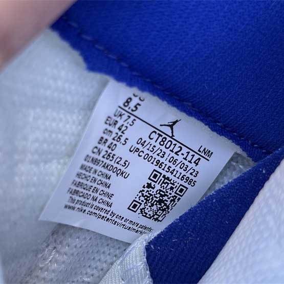 Air Jordan 11 Sneaker    CT8012-114 - DopestKickz