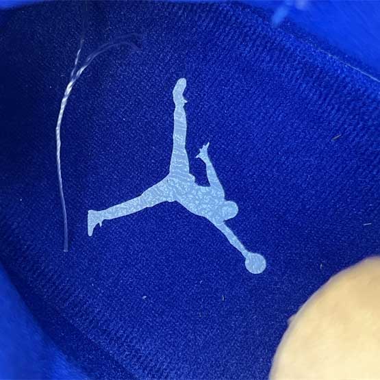 Air Jordan 11 Sneaker    CT8012-114 - DopestKickz