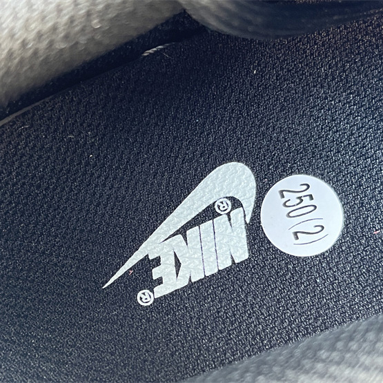 Nike Dunk Low Sneaker     FD1232-001 - DopestKickz