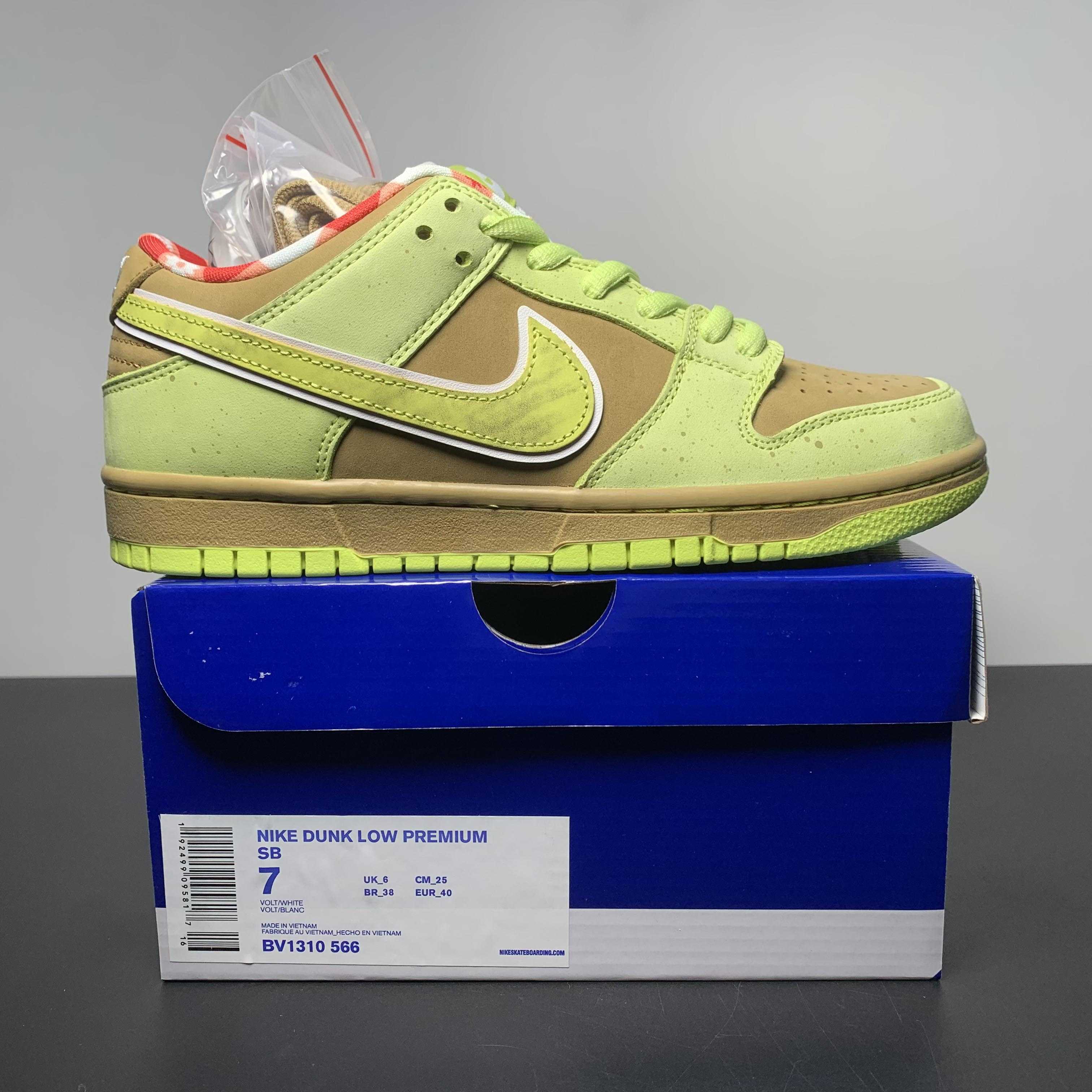 Concepts × Nike Dunk SB Sneakers     BV1310-566 - DopestKickz