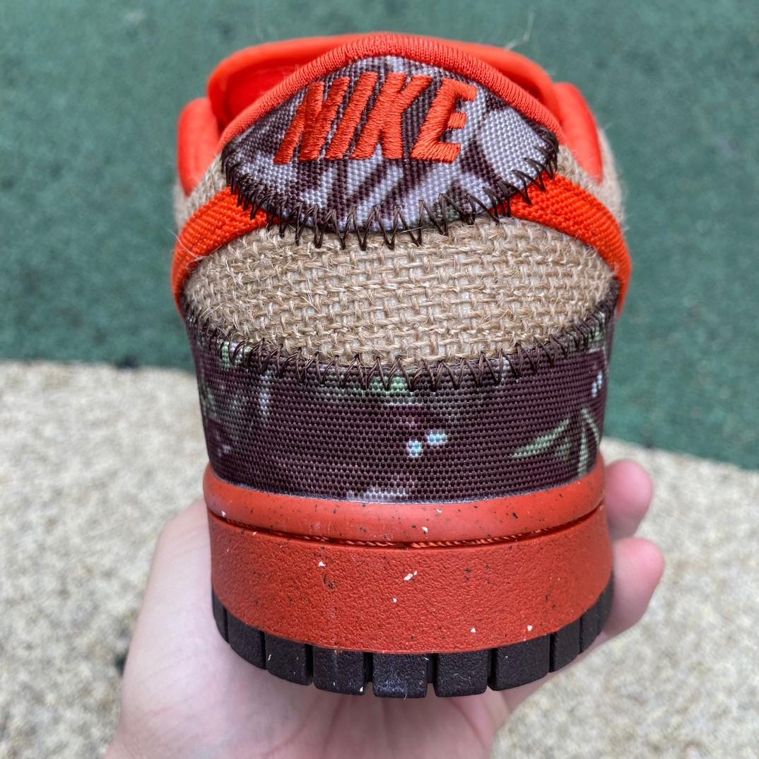 Nike SB Dunk Low “Hunter Reese Forbes” Sneakers      304292-281 - DopestKickz