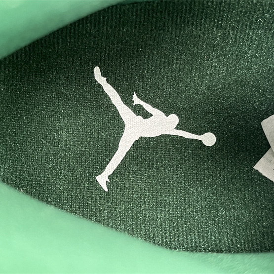 Air Jordan 11 Sneaker    CT8012-113 - DopestKickz