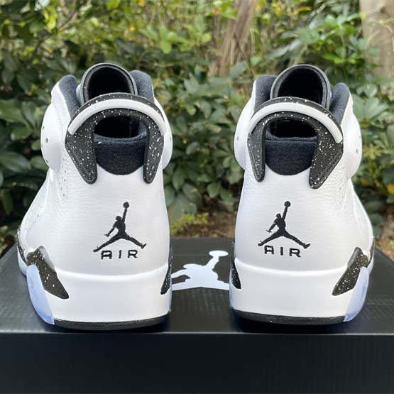 Air Jordan 6 “Reverse Oreo” Sneaker         CT8529-112 - DopestKickz