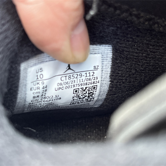 Air Jordan 6 “Reverse Oreo” Sneaker         CT8529-112 - DopestKickz