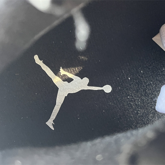 Air Jordan 6 “Reverse Oreo” Sneaker         CT8529-112 - DopestKickz