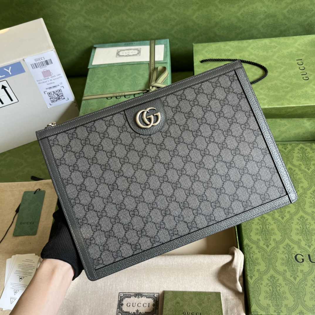 Gucci Ophidia GG Pouch (34*24*5cm) - DopestKickz