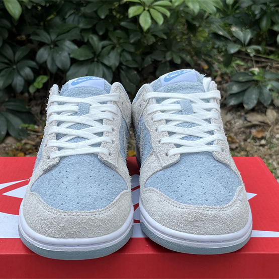Nike Dunk Low Blue Sneaker      FZ3779-025 - DopestKickz