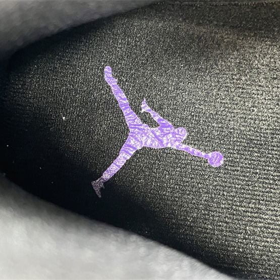 Air Jordan 11 Sneaker   CT8012-113 - DopestKickz