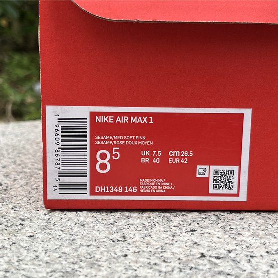 Nike Air Max 1 Sneaker    DH1348-146 - DopestKickz