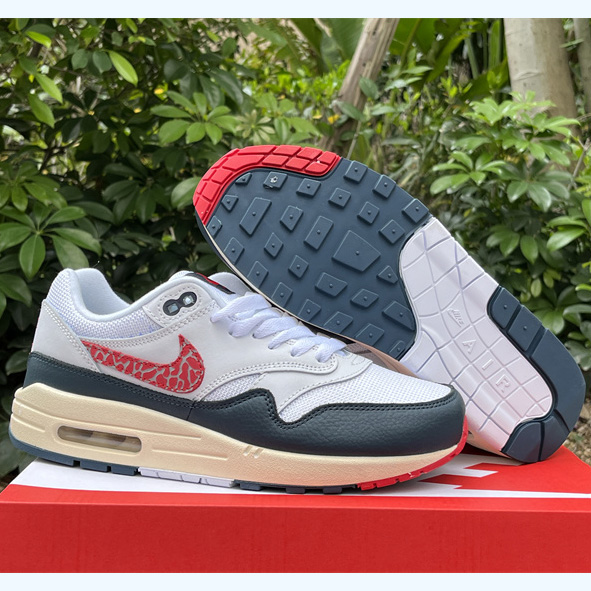 Nike Air Max 1 Sneaker    DH1348-146 - DopestKickz