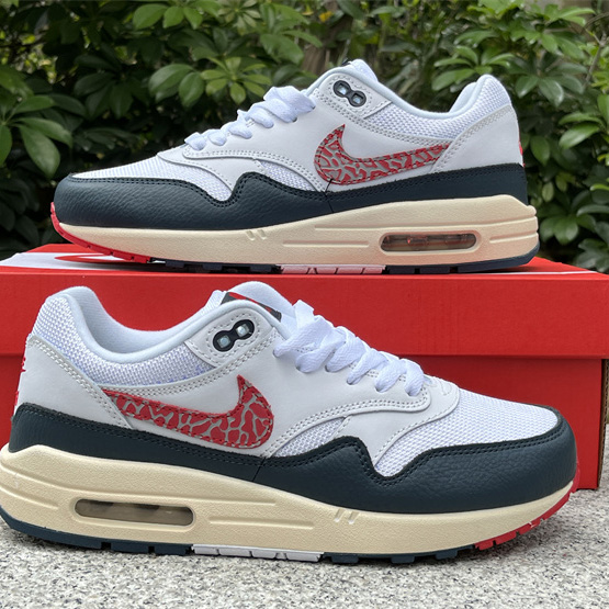 Nike Air Max 1 Sneaker    DH1348-146 - DopestKickz
