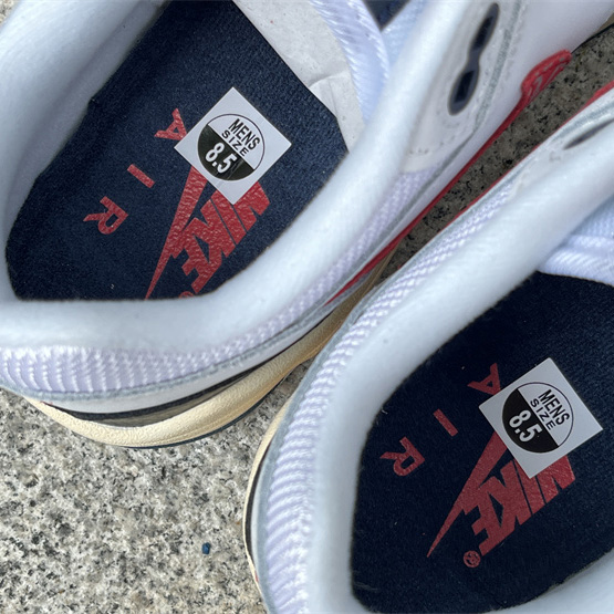 Nike Air Max 1 Sneaker    DH1348-146 - DopestKickz