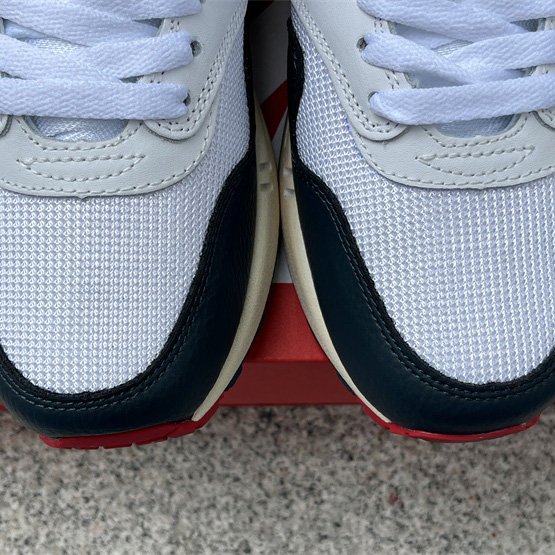 Nike Air Max 1 Sneaker    DH1348-146 - DopestKickz