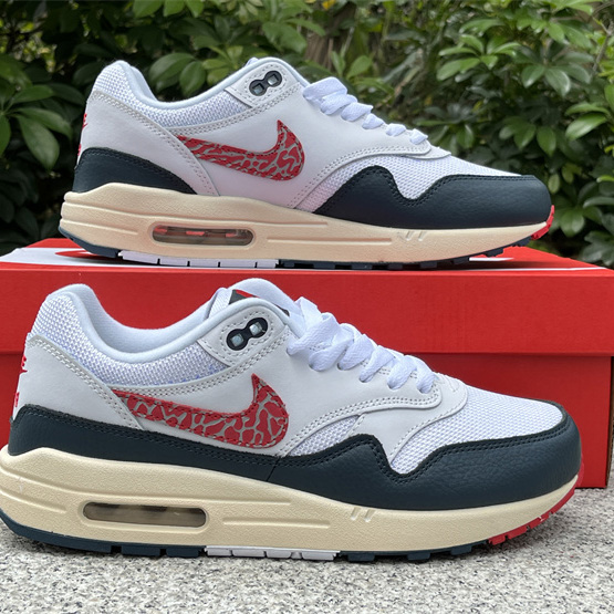 Nike Air Max 1 Sneaker    DH1348-146 - DopestKickz