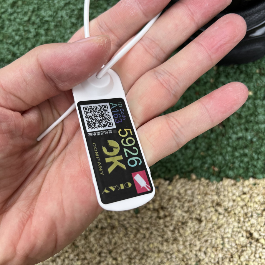 Balenciaga Track Hike High-top Sneakers - DopestKickz