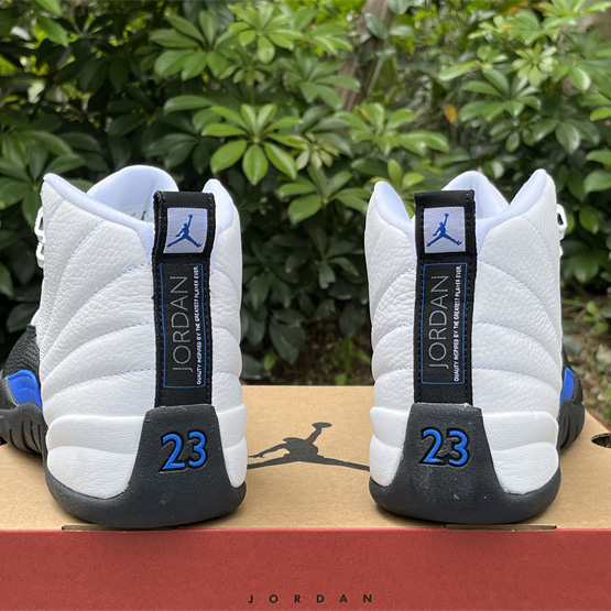 Air Jordan 12 Sneaker      CT8013-140 - DopestKickz