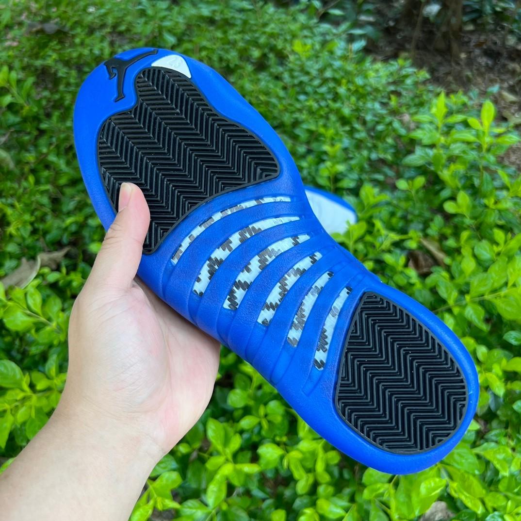 Air Jordan 12 “Blueberry” Sneaker      CT8013-140 - DopestKickz