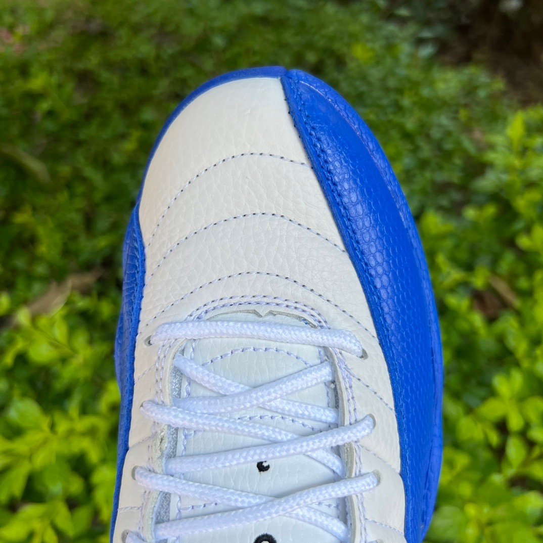 Air Jordan 12 “Blueberry” Sneaker      CT8013-140 - DopestKickz