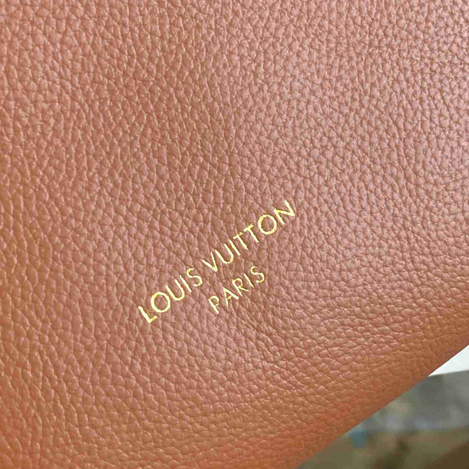 Louis Vuitton Low Key Hobo PM   M25352 - DopestKickz