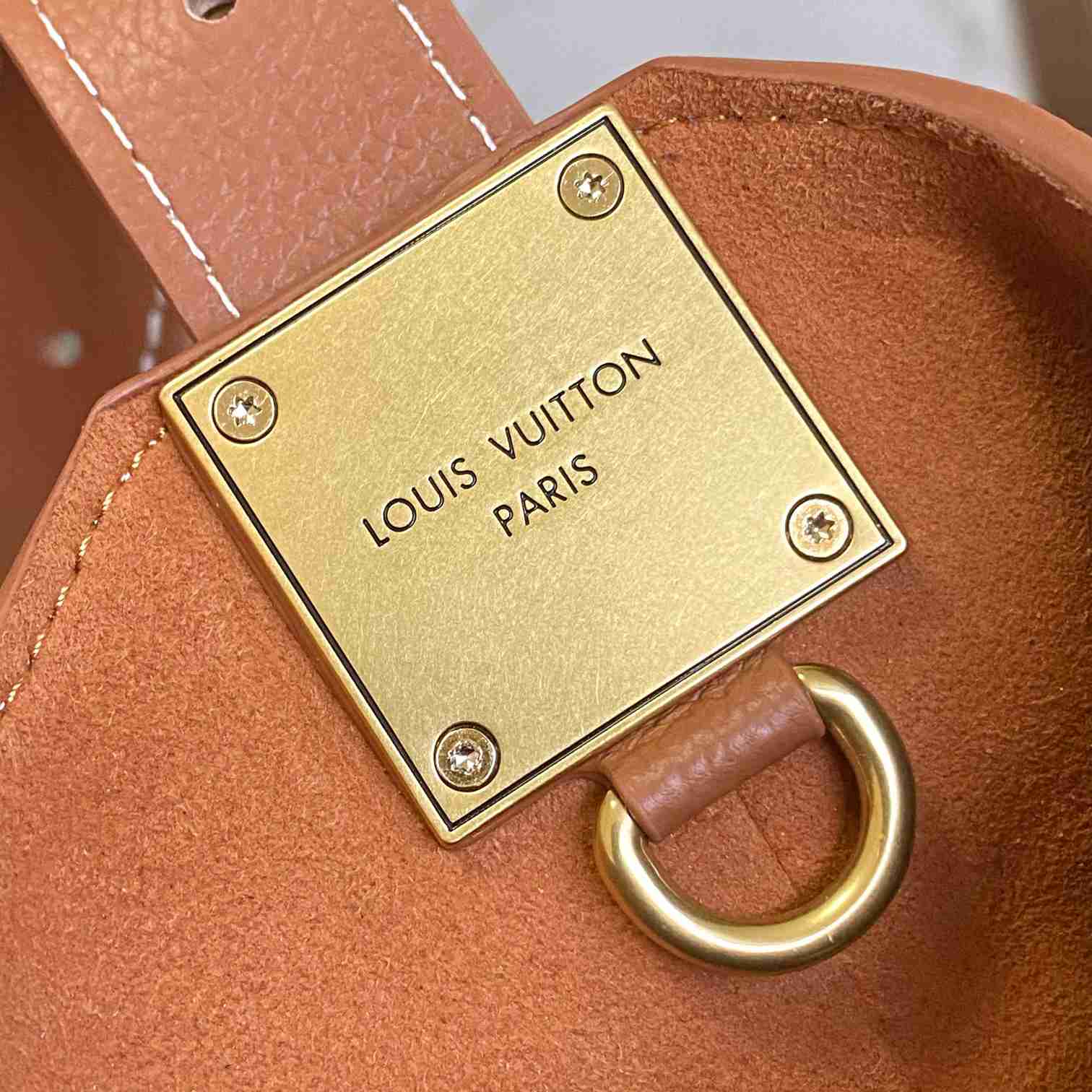 Louis Vuitton Low Key Hobo PM   M25352 - DopestKickz