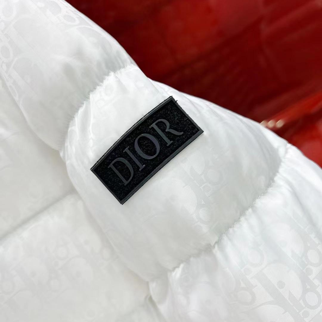 Dior Oblique Down Jacket  - DopestKickz