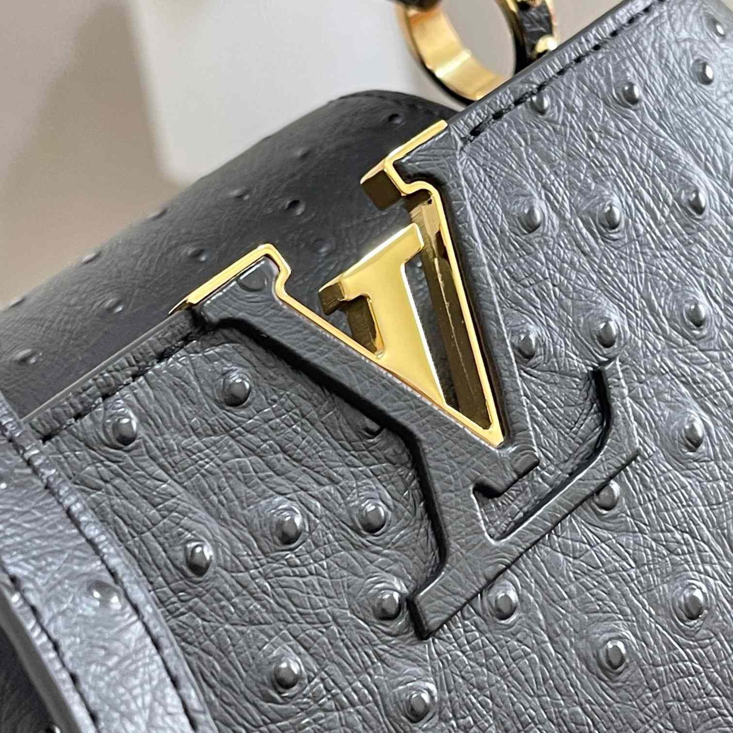 Louis Vuitton Capucines (21*14*8cm)   M48865 - DopestKickz