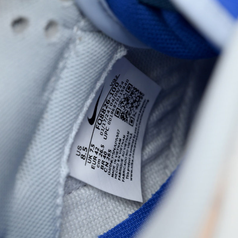 Nike Dunk Low Pioneer Knight Sneaker   FQ8826-100 - DopestKickz