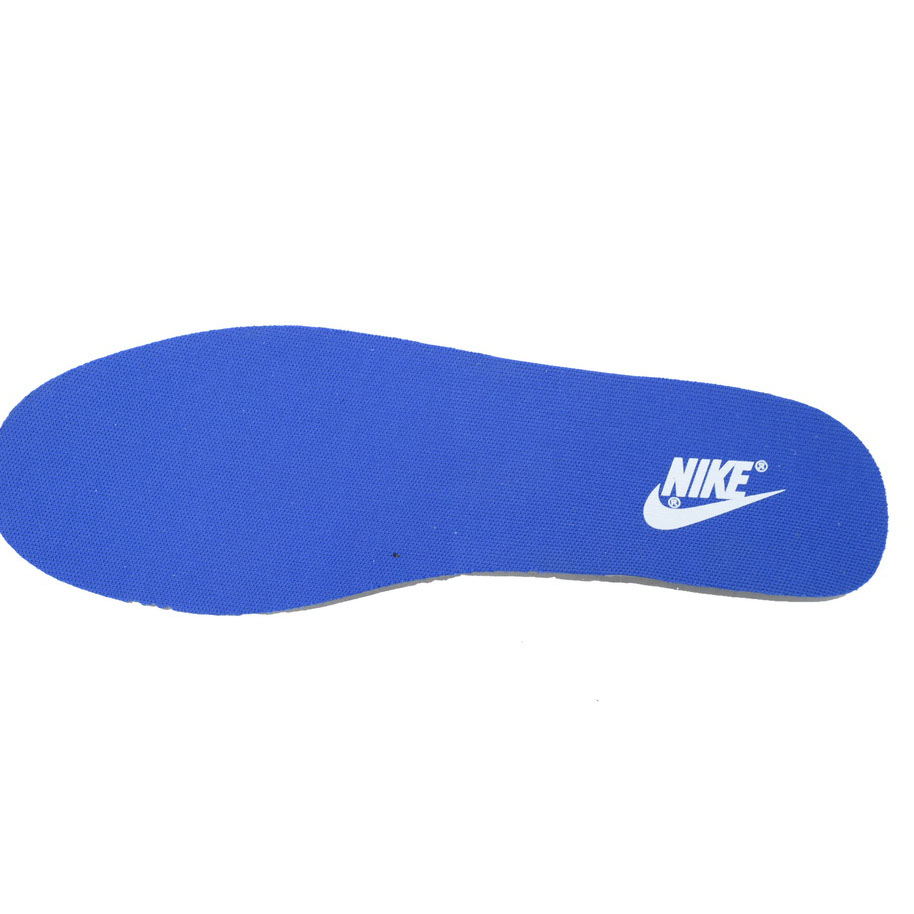 Nike Dunk Low Pioneer Knight Sneaker   FQ8826-100 - DopestKickz