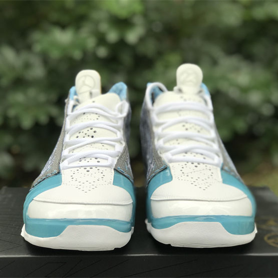 Jordan Air Jordan 23 Sneaker    318474-151 - DopestKickz