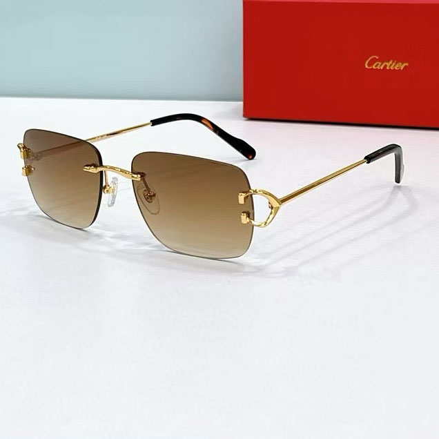 Cartier Sunglasses  - DopestKickz