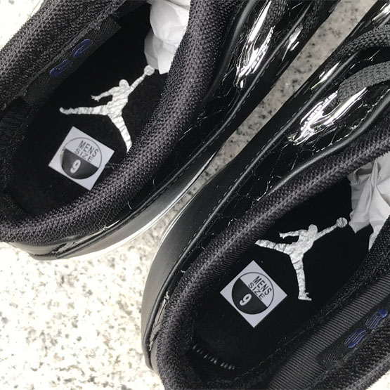 Jordan Air yordan 17 0G Low Black Chrome Sneaker    303891-004 - DopestKickz