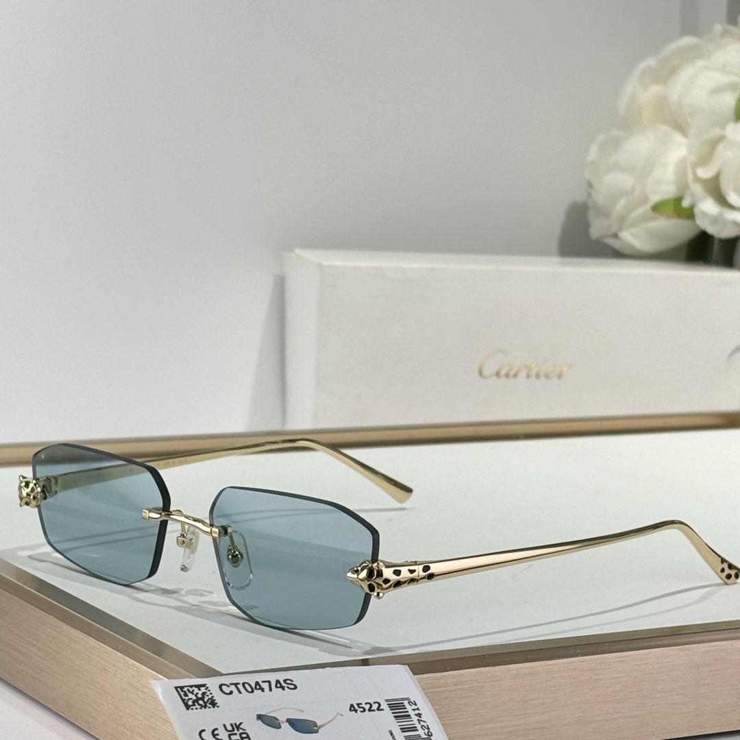 Cartier CT0474S Sunglasses    - DopestKickz