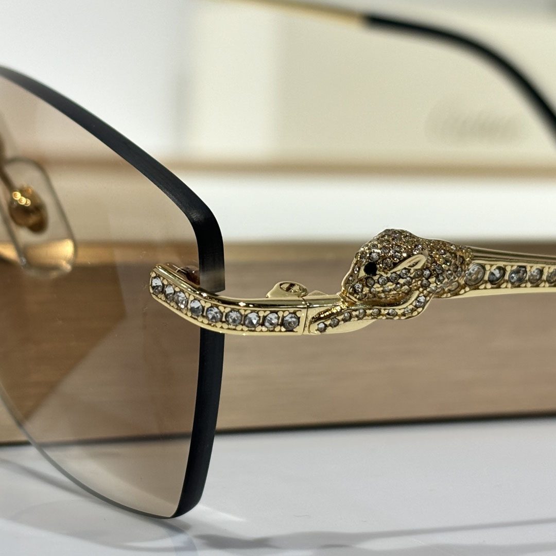 Cartier CT0663 Sunglasses    - DopestKickz