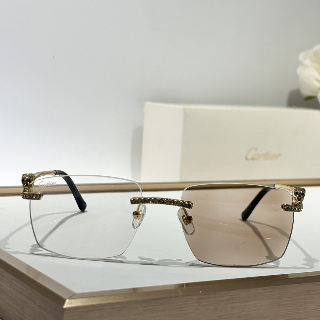 Cartier CT0663 Sunglasses    - DopestKickz