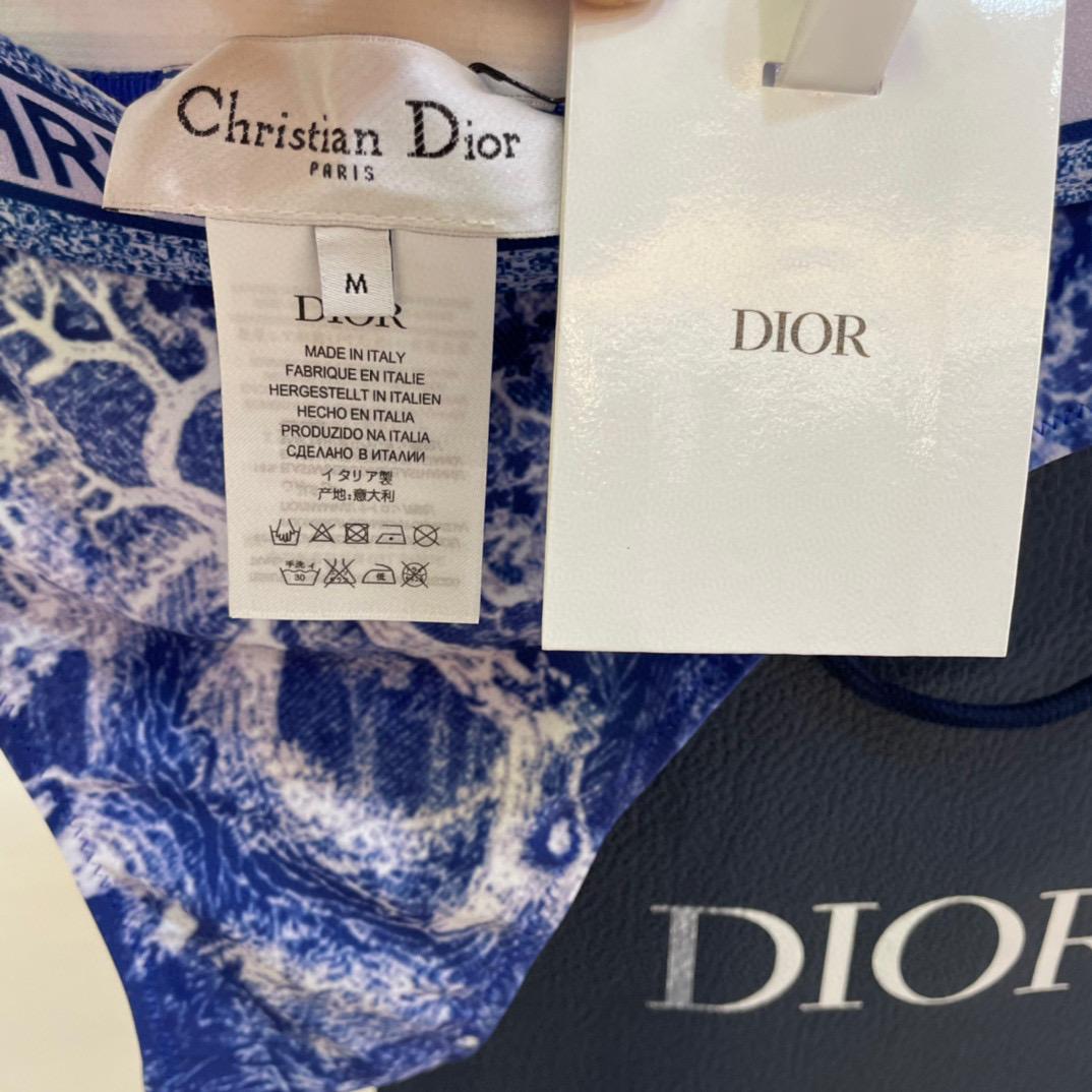 Dior Two Piece Swimsuit - DopestKickz