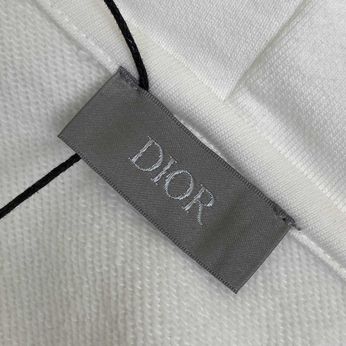 Dior And Kaws Hooded Sweatshirt - DopestKickz