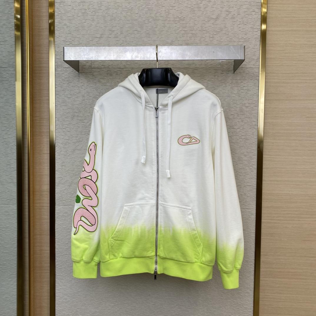 Dior And Kaws Hooded Sweatshirt - DopestKickz