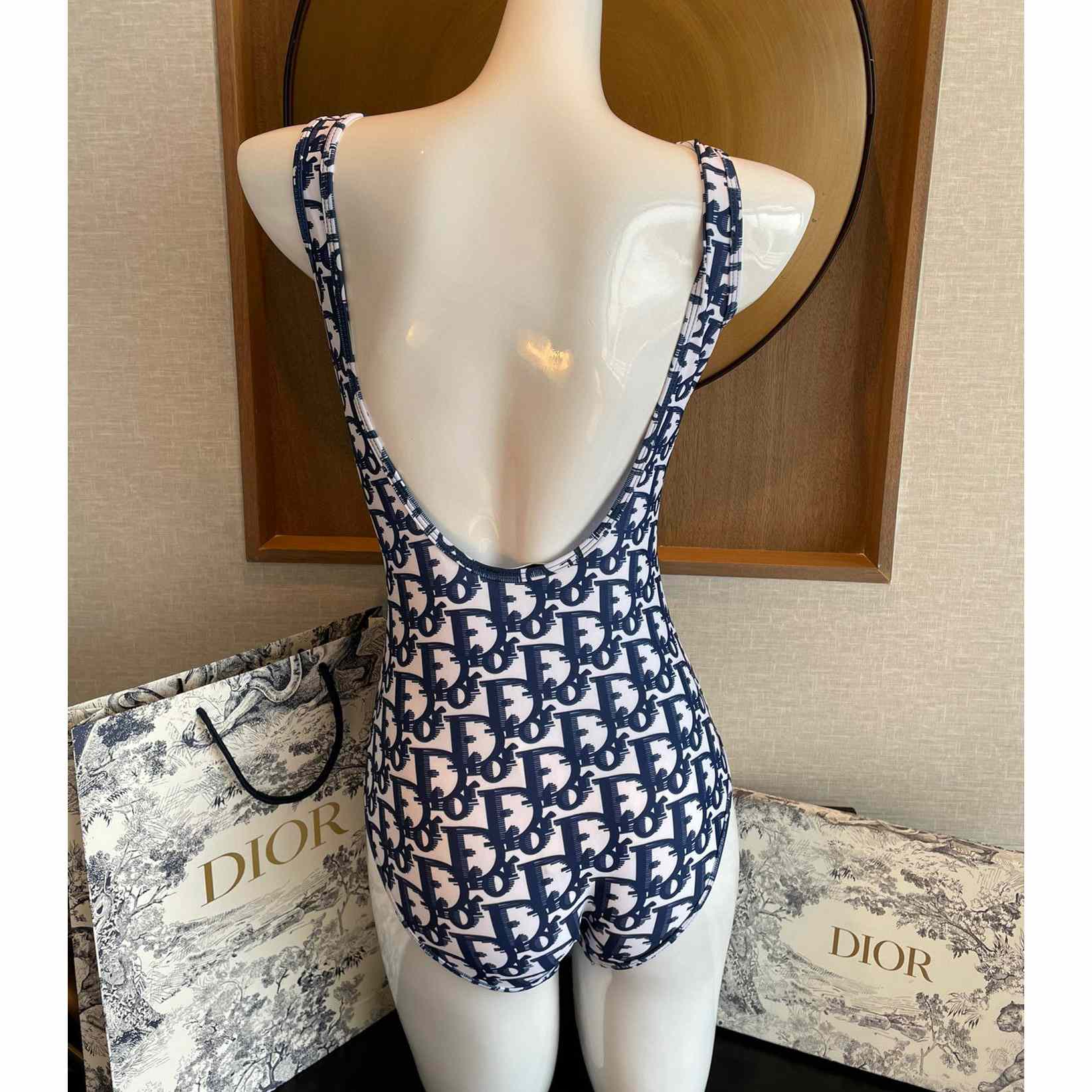 Dior One Piece Swimsuit - DopestKickz