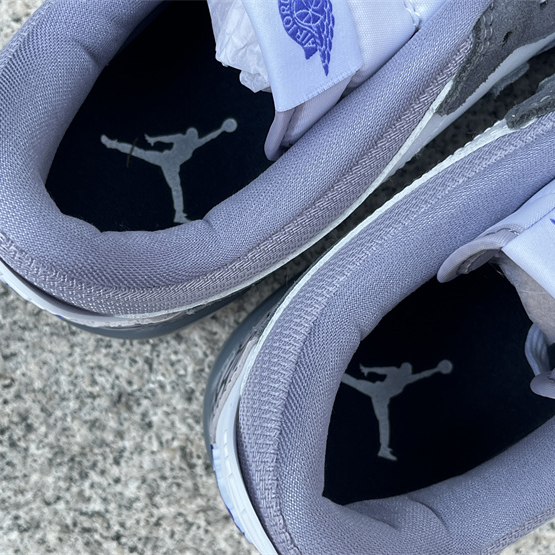 Jordan Legacy 312 Low Sneaker    CD7069-108 - DopestKickz