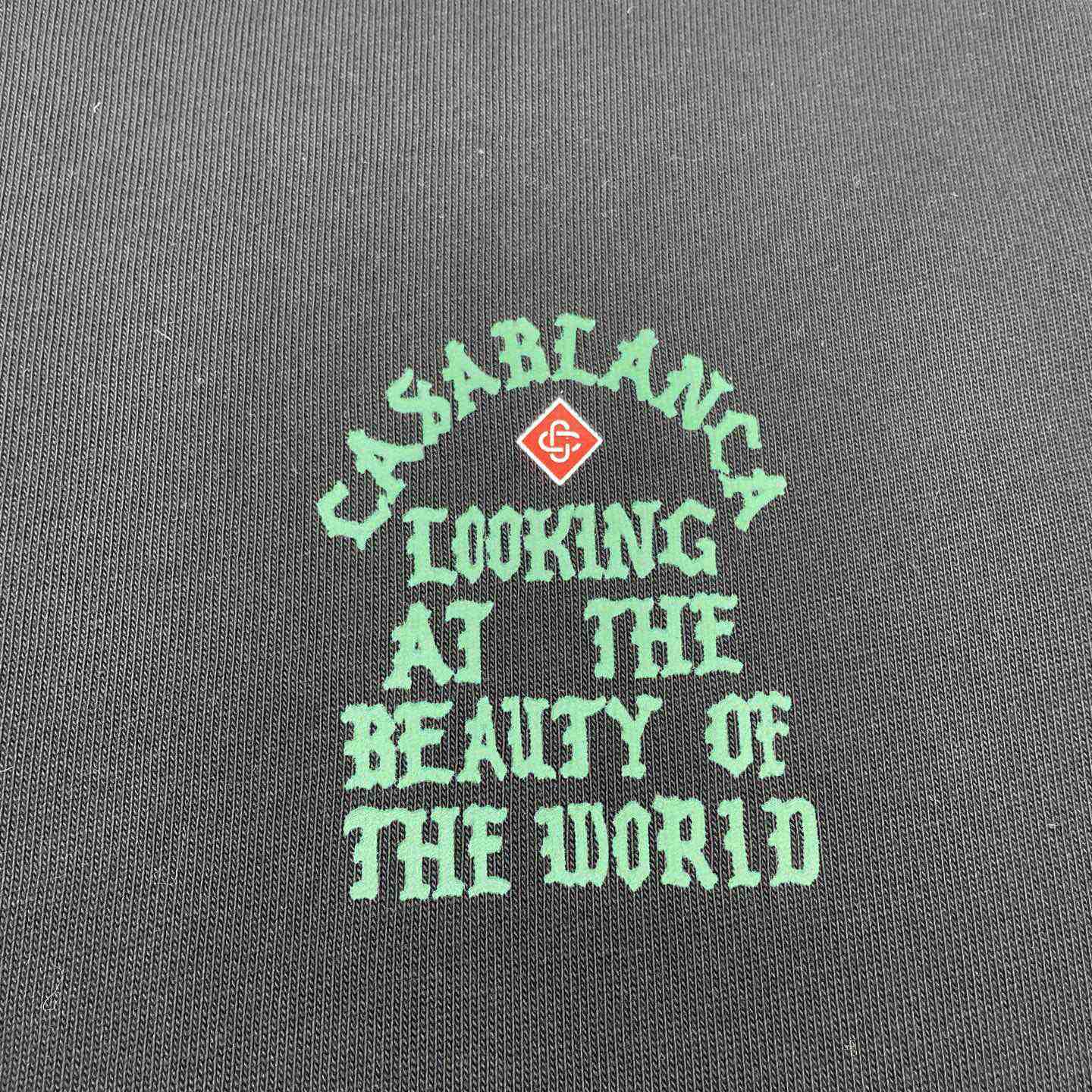 Casablanca Looking at The Beauty Of The World T-Shirt     C967 - DopestKickz