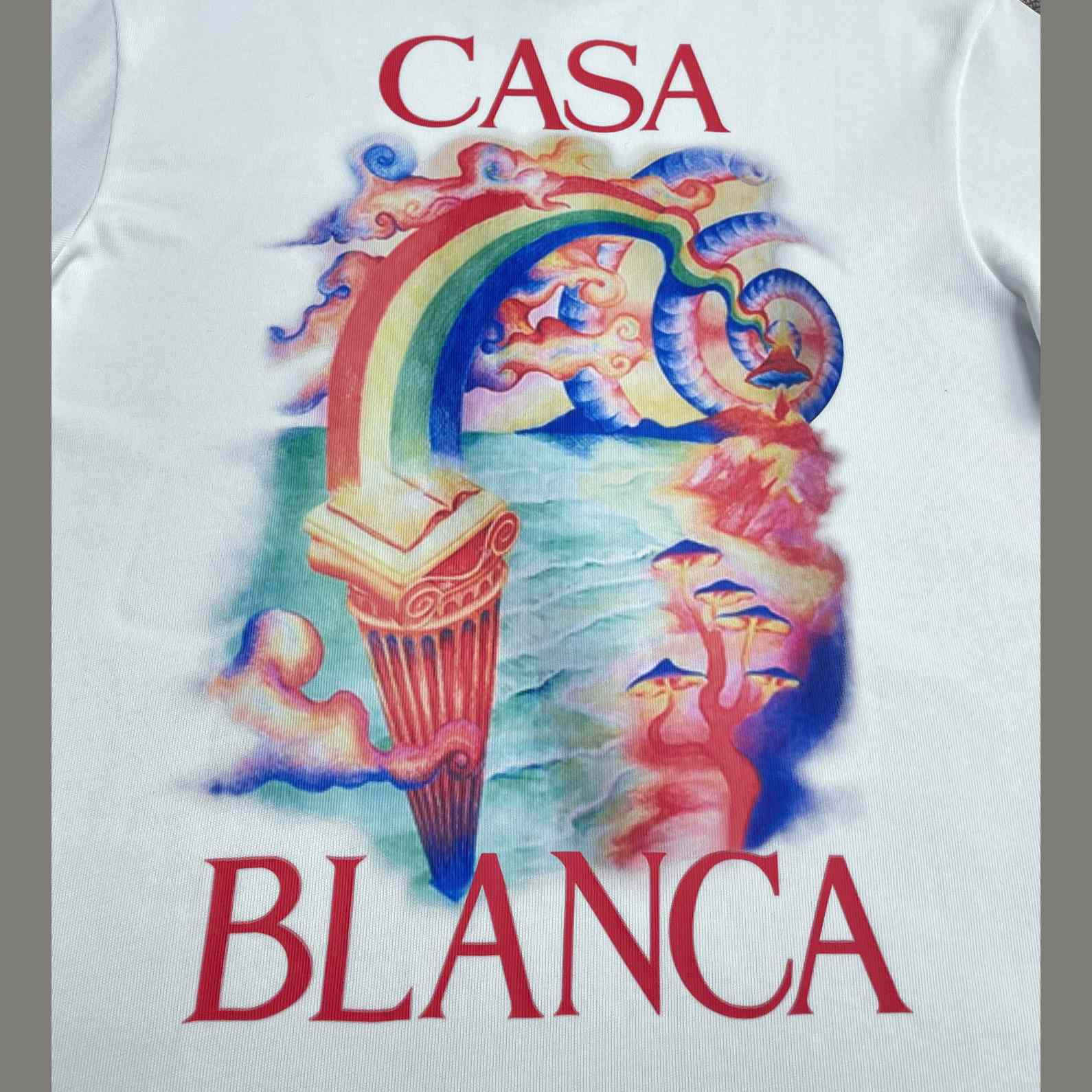 Casablanca Nature Teacher Printed Cotton T-Shirt   C950 - DopestKickz