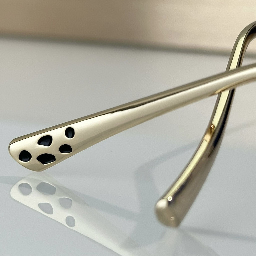 CartierRrectangle-frame Sunglasses   CT0473S - DopestKickz