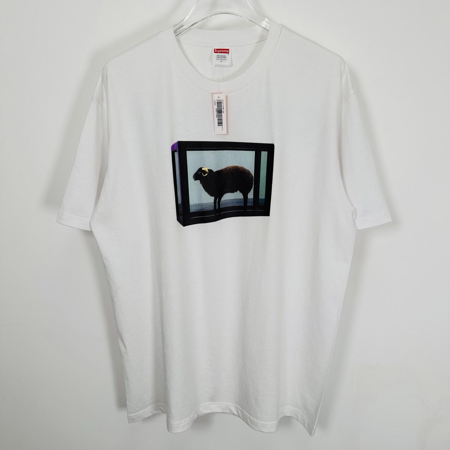 Supreme Damien Hirst Tee White - DopestKickz