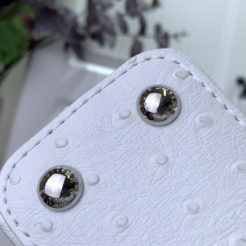 Louis Vuitton Capucines BB   M48865  16.3 x 11 x 6.5 cm - DopestKickz