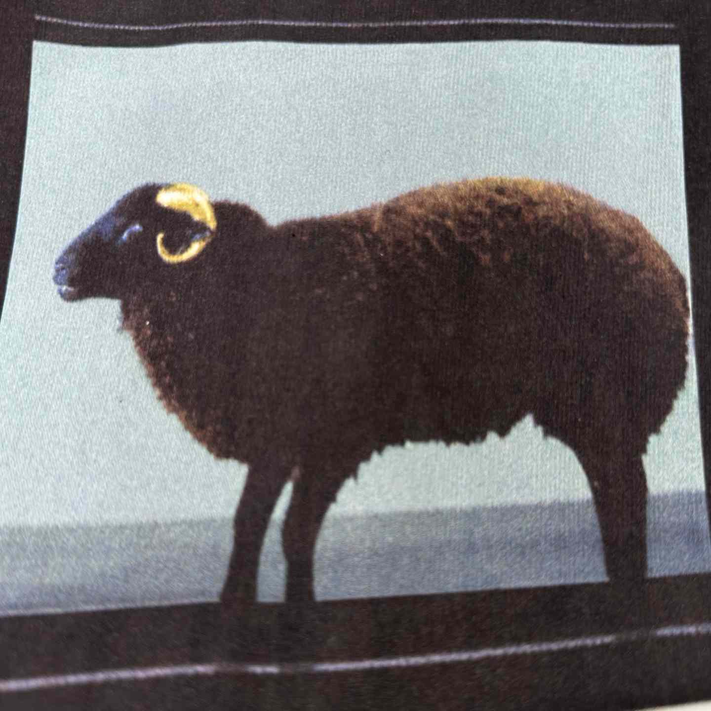 Supreme Damien Hirst Tee Black - DopestKickz